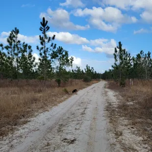 Here are some of the trails near Black Fork Recreation area.