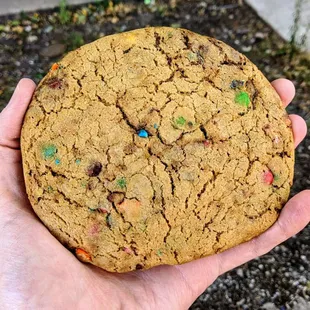 Jennivee&apos;s Bakery 09-05-2020: M&amp;M Cookie