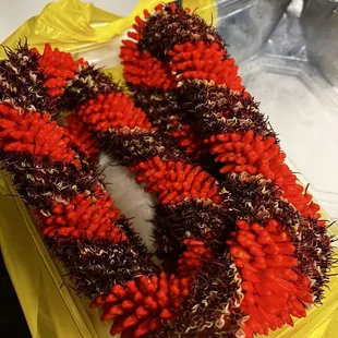 2/20/25 cigar lei $30