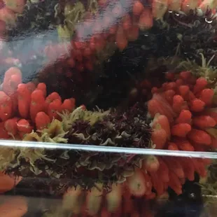 cigar lei for the boys