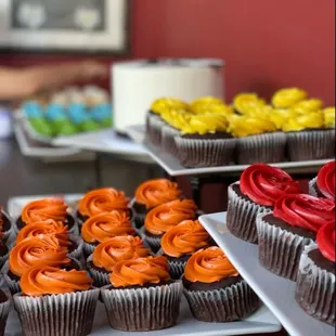 Cupcakes, rainbow colored and chocolate with a raspberry filling.