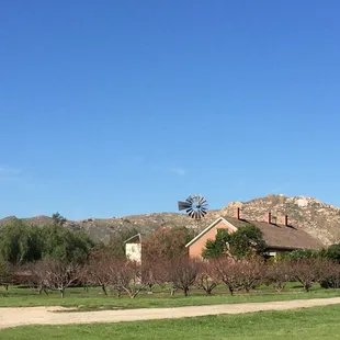 The ranch and museum.