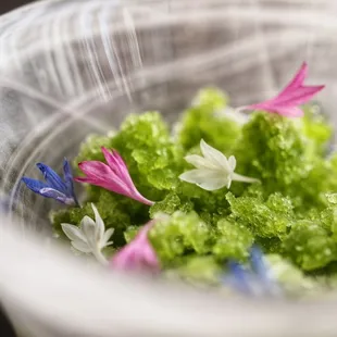 a close up of a bowl of broccoli