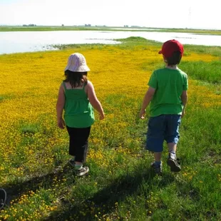 Jepson Prairie Preserve 4.19.09