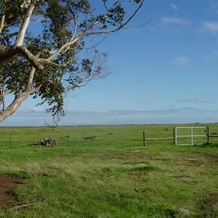 Picnic and Visitor area looking east 1-20-2010