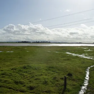 Olcott Lake getting filled up with Jan winter rains.  1-20-2010