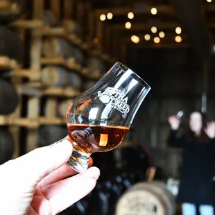 a person holding a glass of wine