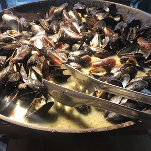 4/5/19 mussels