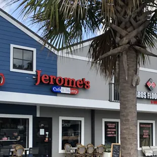 a palm tree in front of the store
