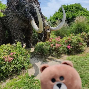 Woolly mammoth!