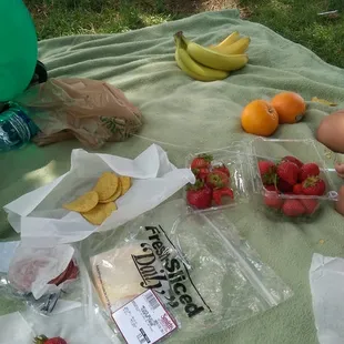 Yummies under a shady tree