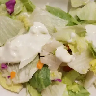 Half of a garden salad with blue cheese dressisng