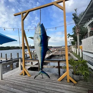 Tuna