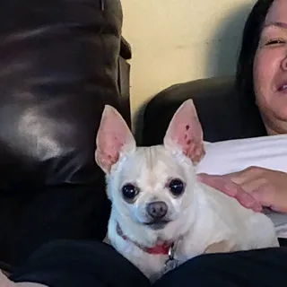 Patty C.