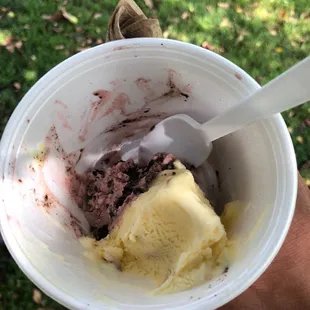 Black Raspberry Oreo and Cake Batter