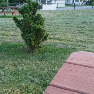 2 yards for the kids and animals.