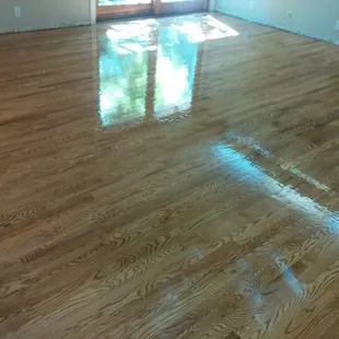 Floors I have refonished