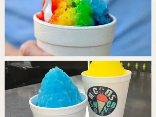 Miccos Snocones