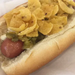 sandwich, hot dogs, hot dog, food
