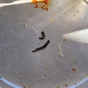 So good I ate the entire thing, even the crust!