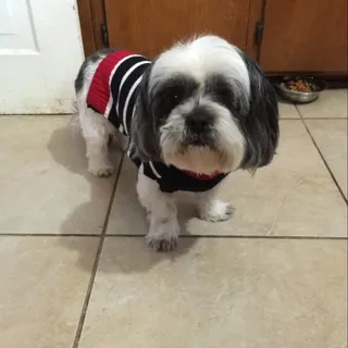 Vee R.