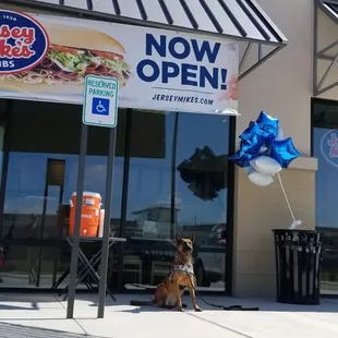 Fort bend K9 stopping by for some slices of Turkey!