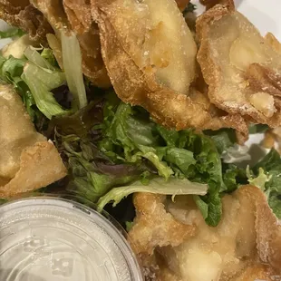 Philly Wontons
