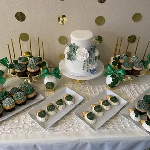 I ordered a 2 tier succulent themed cake &amp; succulent  cupcakes! It fit in with our other desserts and tasted delicious.