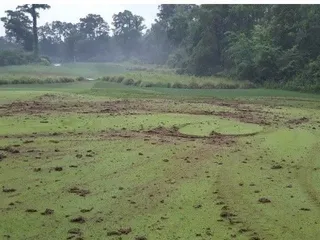 Eagles Landing Golf Course