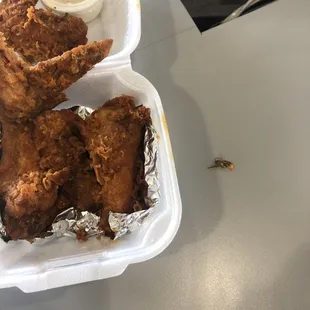 chicken wings, poultry, chicken, bbq wings, bbq chicken, food, fried chicken wings, fried chicken, chicken wings and fried chicken