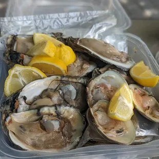 Raw Oysters and clams
