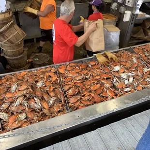 Yummy crabs