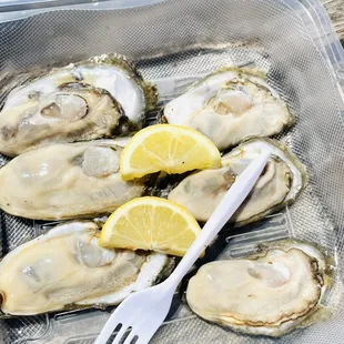Half dozen oysters