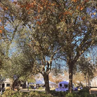 outside