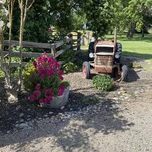 Nice gardens