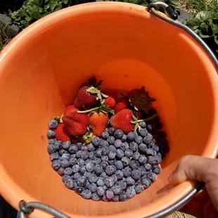 Delicious strawberries and blueberries!