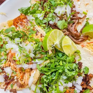 Shredded Chicken Questaco, Chorizo taco, and Barbacoa taco