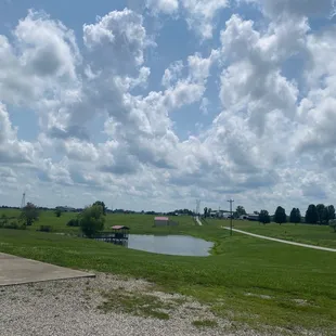 Pond in the backyard