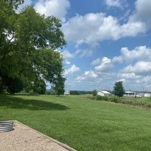 a view of a field with a fire hydrant in the foreground