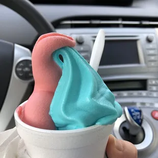 a person holding a cup of ice cream