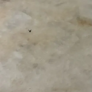 Look what I found in my drink bro!! Dude!! Put caps on top!!   of your liquor spouts