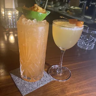 Tamayo &amp; Kumquat Bees Knees