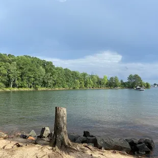 The view from the bench where I sat