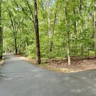 Walking trails