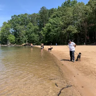 Beach and Lake