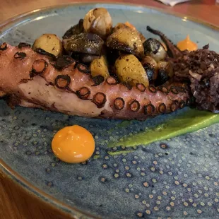 Grilled Octopus