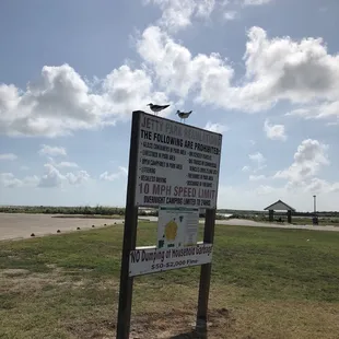 Posted 8/19/18