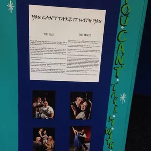 The play synopsis and history is always displayed.