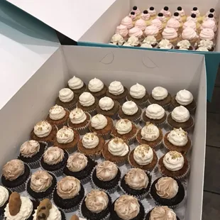 All the cupcakes flavors