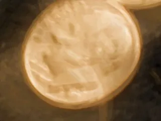 Don's Coin & Jewelry